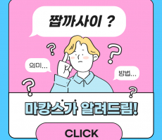 짭까사이가 도대체 뭐지? - 마캉스