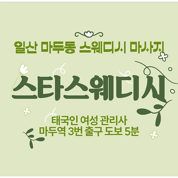 일산 마두동 마두역 스타스웨디시 스웨디시 마사지 - 마캉스