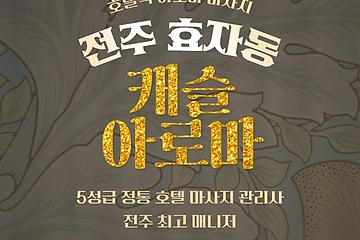 전주 효자동 캐슬아로마 아로마 마사지 - 마캉스